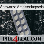 Black Ant Capsules 08